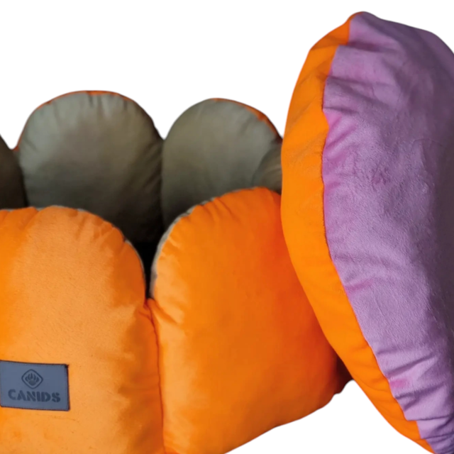 جاخواب سگ و گربه برند Canids طرح گل