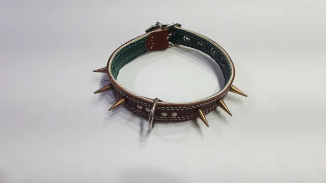 قلاده 6 خار گردنی